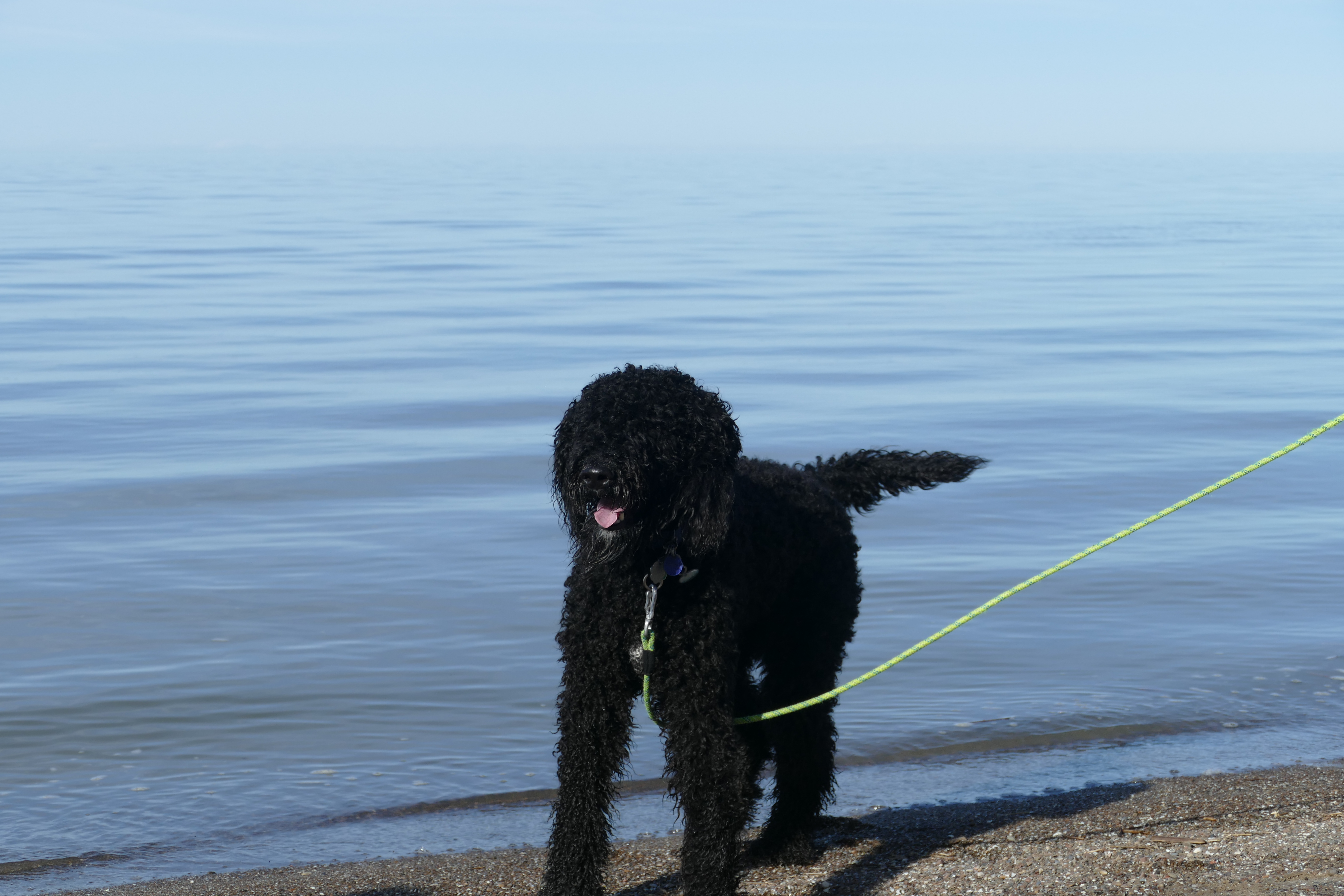 Beach Day Photography